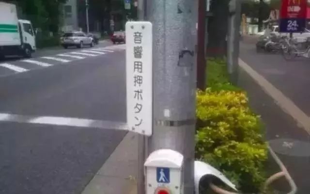 国际盲人节：假如让我三天失明