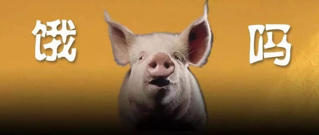 今年雏鹰农牧能恢复上市吗,雏鹰农牧何时上市