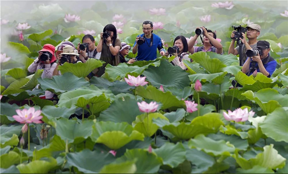 嘉兴秀洲古镇,嘉兴秀洲古镇游玩攻略