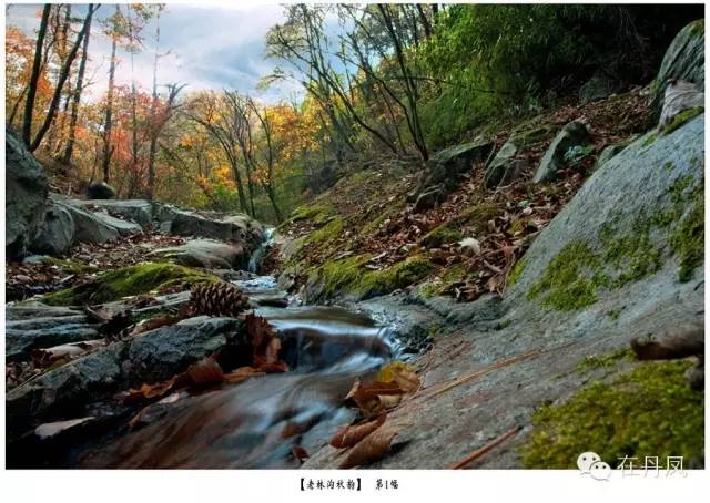 这个周末我约了丹凤的秋天,邀你共赏!去的约起来....