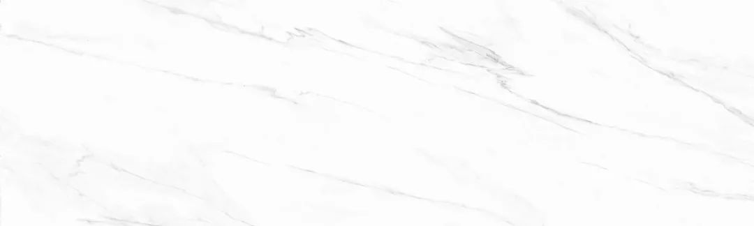 罗马利奥瓷砖和东鹏哪个品牌好,罗马利奥和新中源哪个好