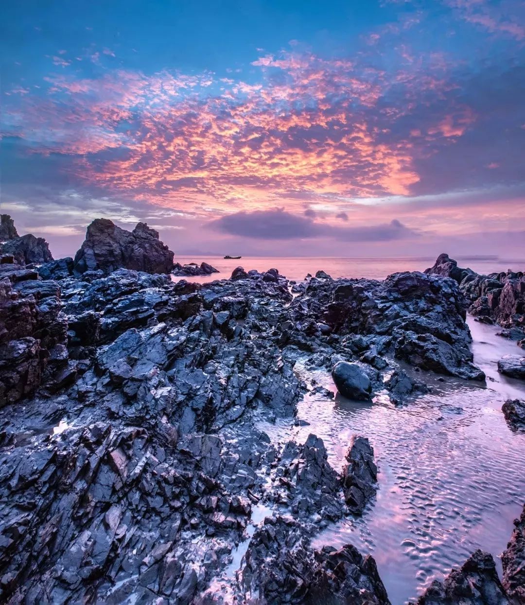 新“仙岛十景”｜岱山会为游客带来怎样的惊喜？