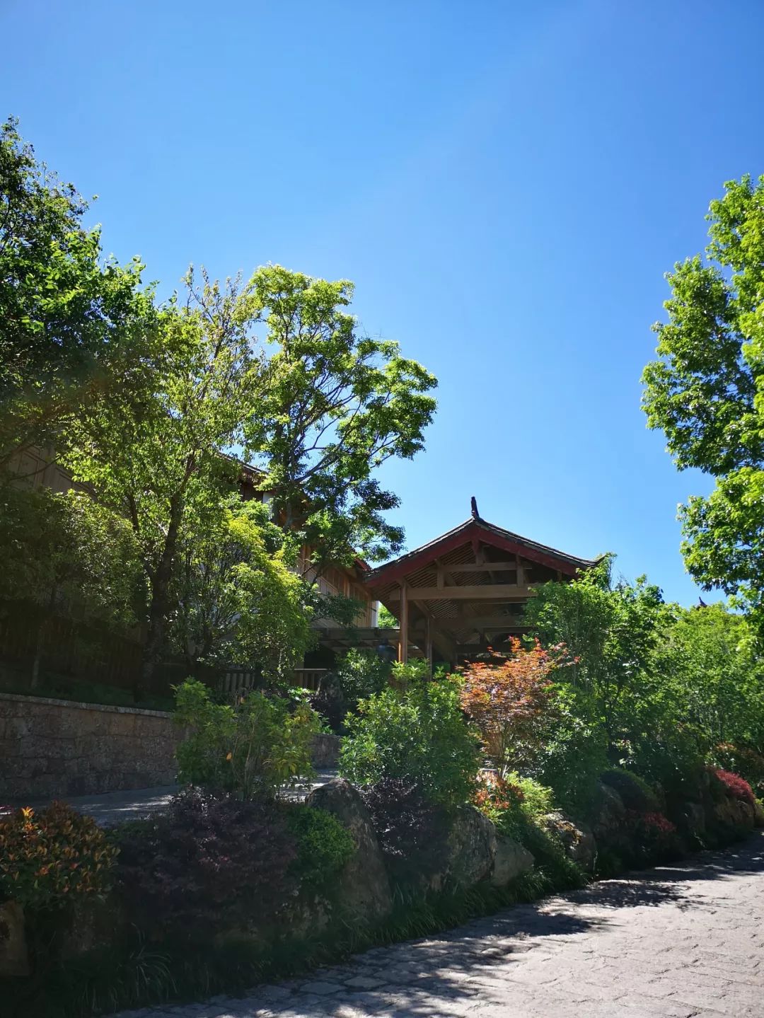 花5000多住迪士尼酒店,花5000住酒店什么体验