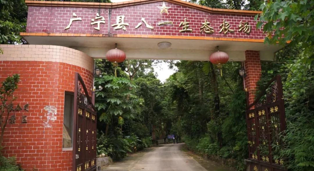 初心不变，创新不已，这些西江人才用实干圆梦想！快来看看他们的故事吧！