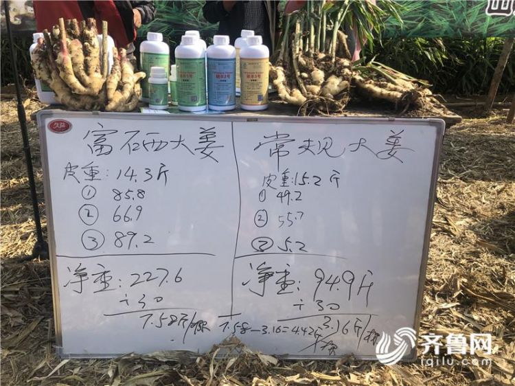 潍坊农业转型升级,潍坊农业农村规划