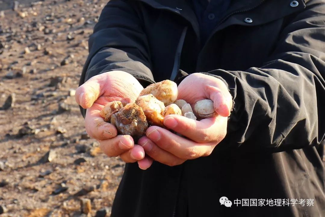 *疆新**南戈壁奇幻雅丹考察|活动招募