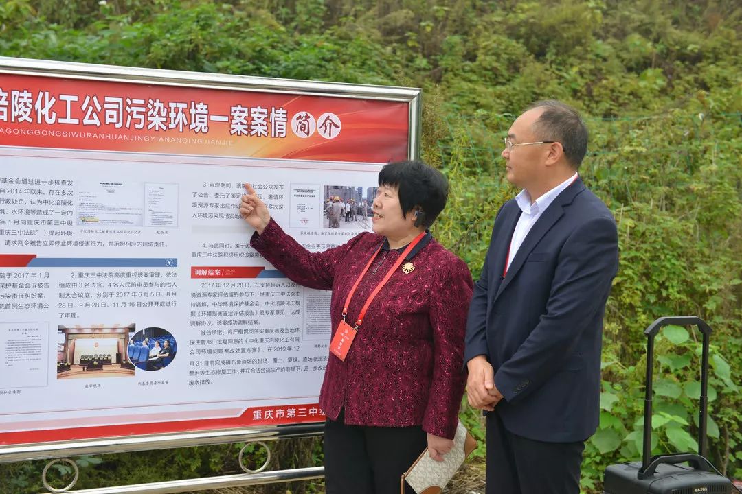 渝你同行政法视频,重庆渝你同行视频