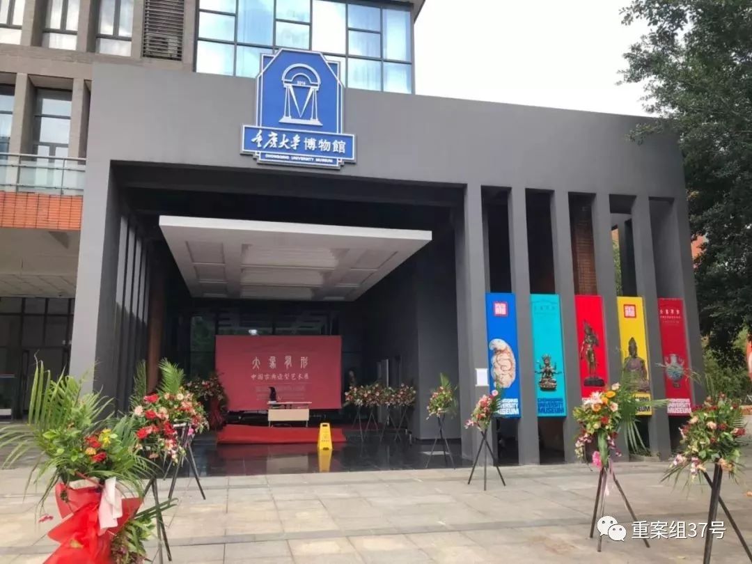 重庆大学赝品博物馆央视,重庆大学博物馆赝品事件教授