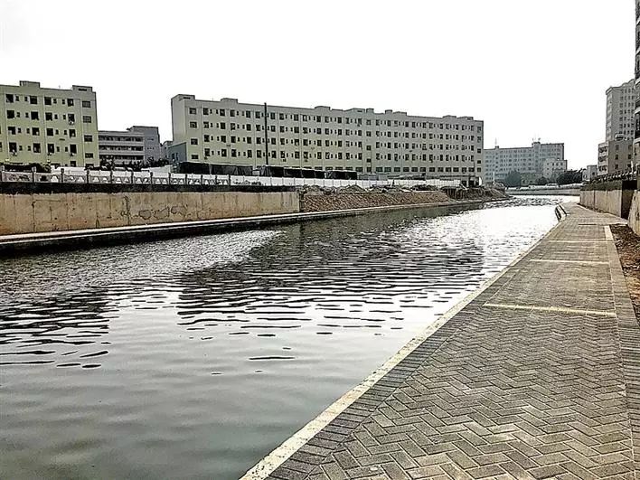 不文明行为随手拍持续曝光脏乱差,不文明行为曝光台机动车乱停乱放