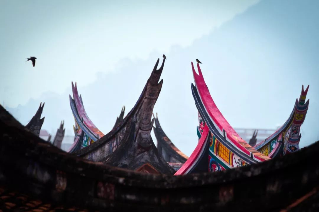 福建漳州为什么今年这么冷,福建漳州为什么老是半夜零点左右放鞭炮