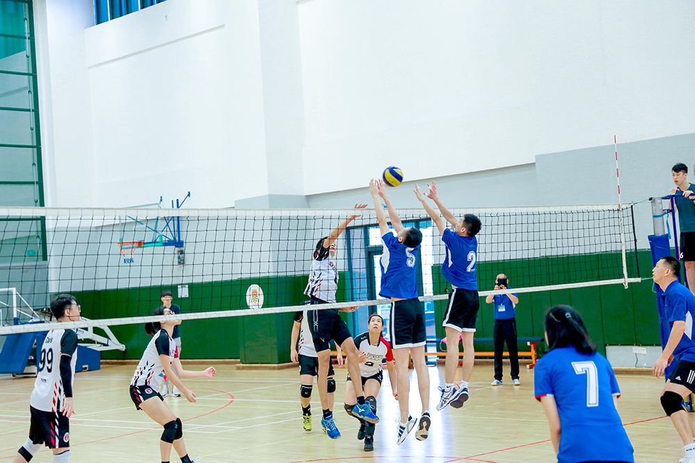 粤港澳大湾区会举办什么运动会,粤港澳大湾区友好运动会