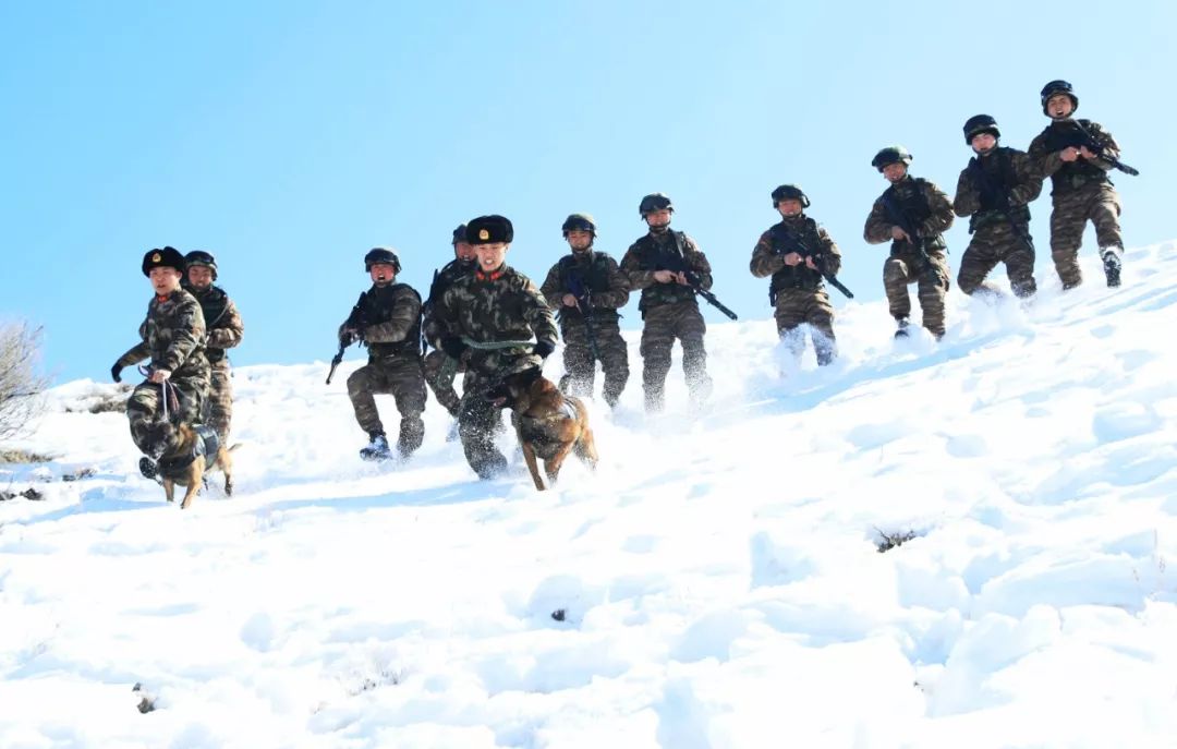 中国人民武装警察部队兵团总队,中国人民武装警察部队工程部队