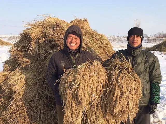 靠口口相传活下来的国货,全国十大经典好吃的大米