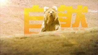 央视财经纪录片2024,央视财经栏目名单