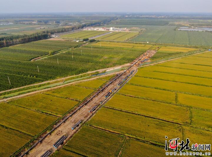 宝坻中俄东线最新消息,中俄东线全线贯通