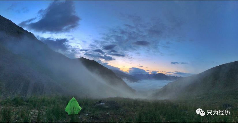 博格达雪莲花简介,雪莲花博格达