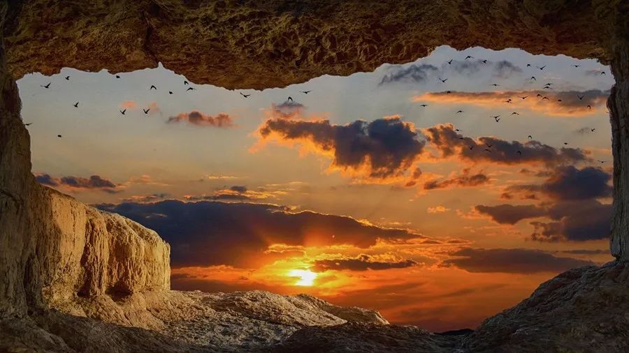 燕子在屋檐飞来飞去但没搭窝,没有屋檐燕子怎么搭窝