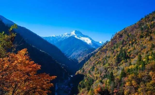 秋天的川西彩林,川西彩林最佳观赏地点