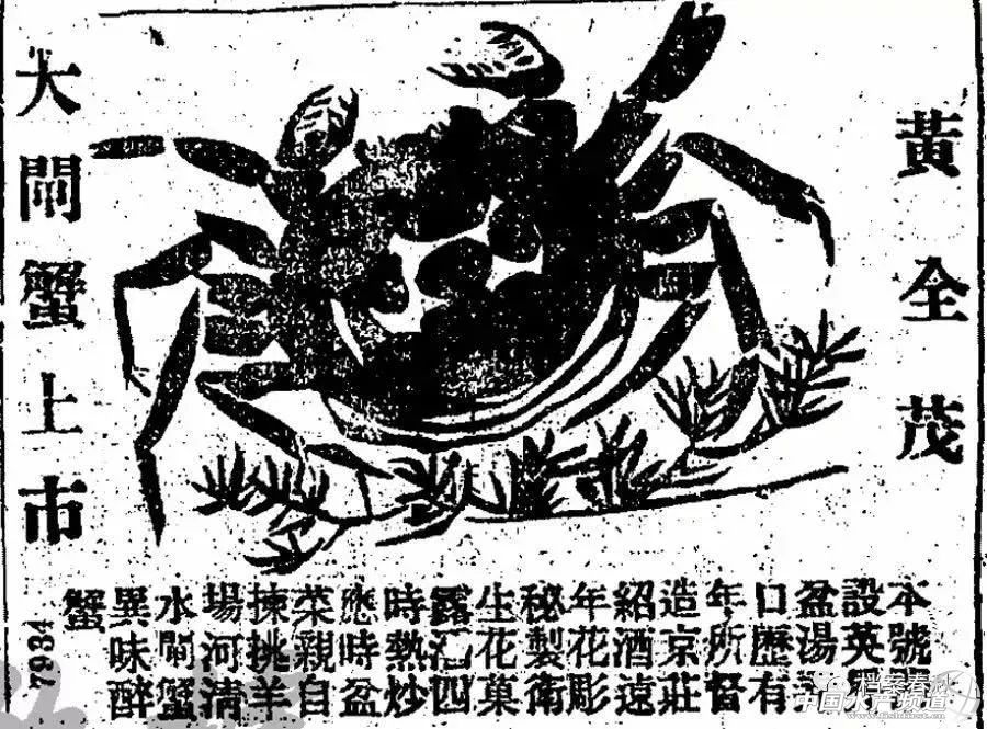 冷知识阳澄湖的蟹为什么叫大闸蟹,阳澄湖大闸蟹为什么叫大闸蟹