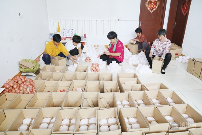 惠民：电商产业风生水起“惠民模式”受热捧