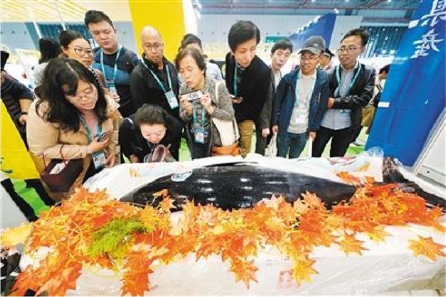 【防范365】进博会来了，警惕相关骗术！