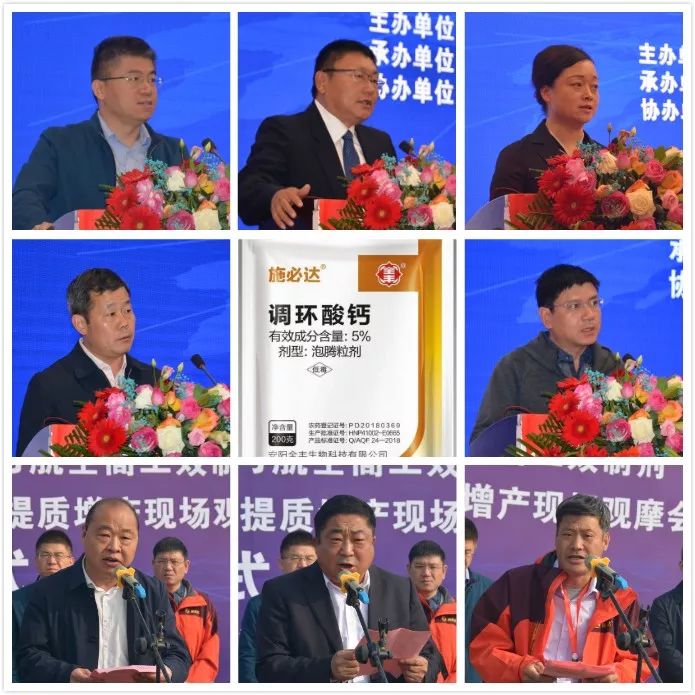 安阳全丰施必达产品,全丰施必达花生套餐