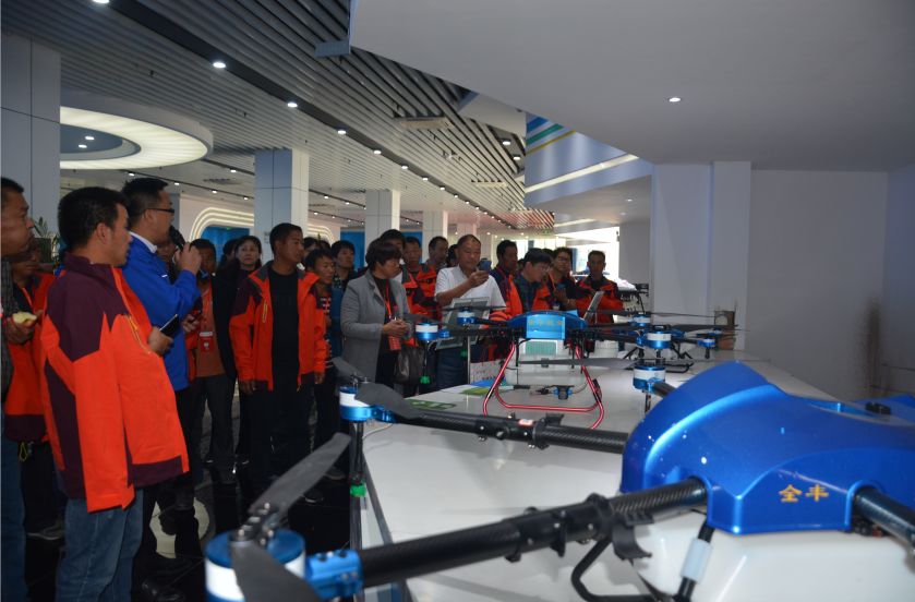 安阳全丰施必达产品,全丰施必达花生套餐