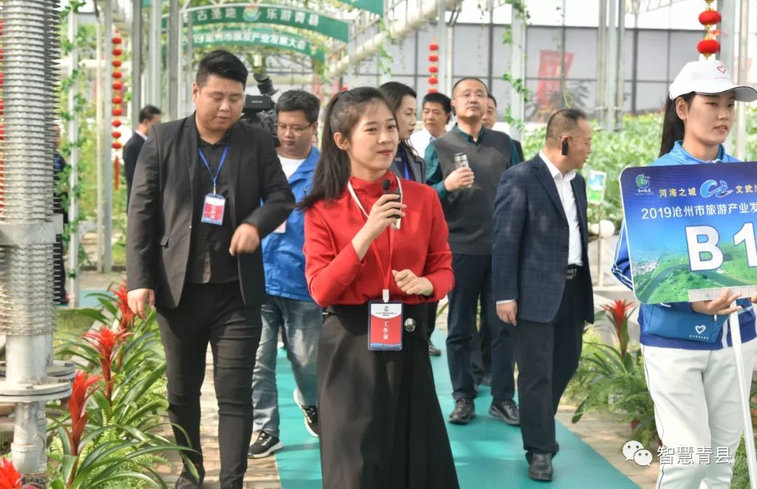 青县集会,2019沧州旅发大会