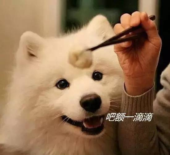 南京塑料普通话,本地塑料普通话