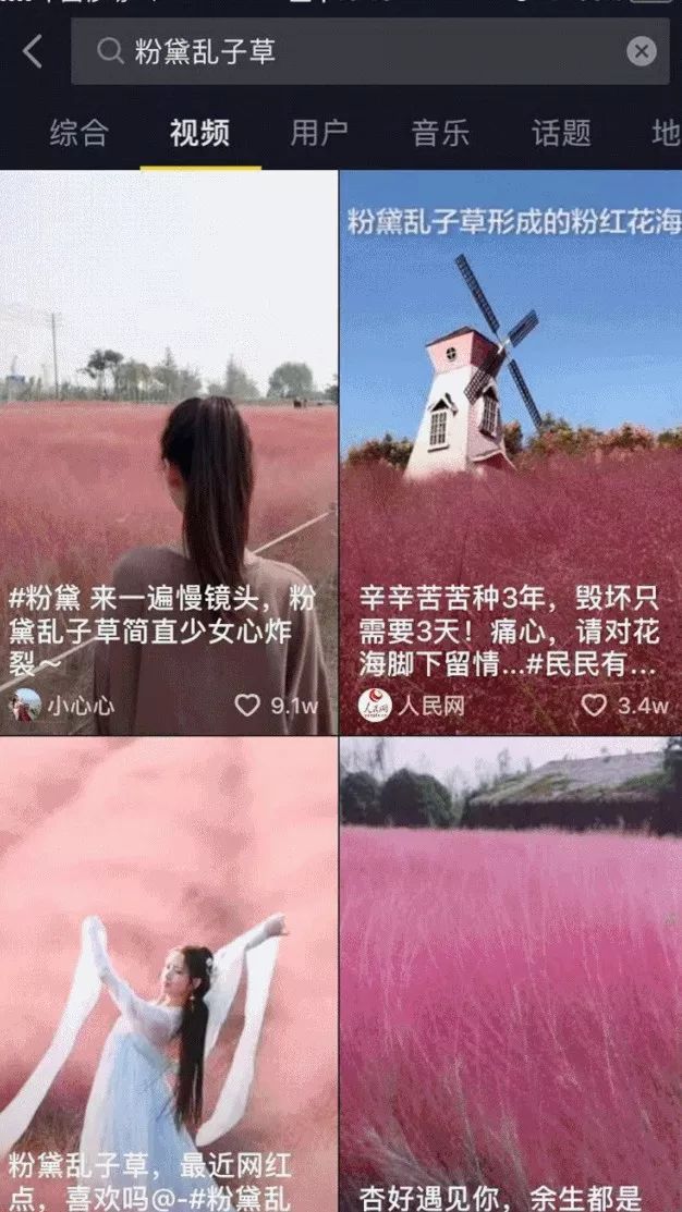 粉黛乱子草网红打卡地成都免费,美到炸网红粉黛乱子草就在双流