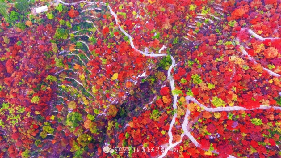 北京秋天赏红叶好去处房山坡峰岭,秋天赏红叶最佳去处