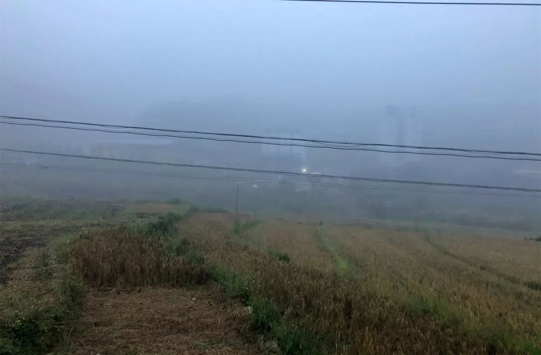 西双版纳傣族赶街视频,勐腊县勐仑镇赶街