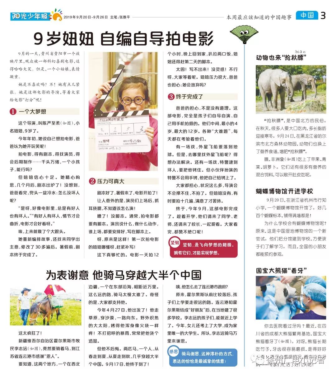 如何给孩子们讲新闻,给孩子讲新闻的课程