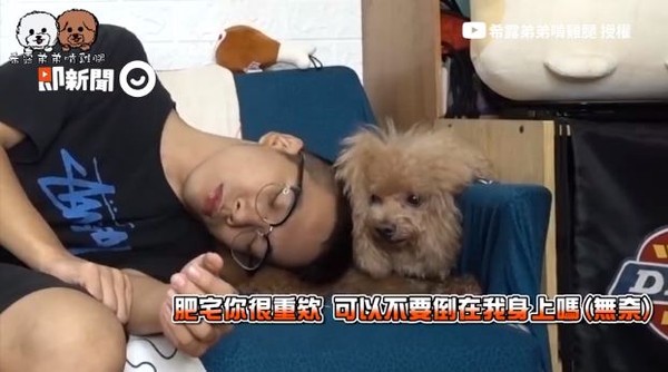饲主演吐血晕倒　爱犬放空无反应