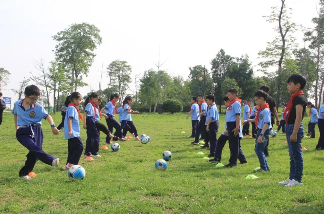 中小学生研学实践方法路径,小学生研学活动怎么做