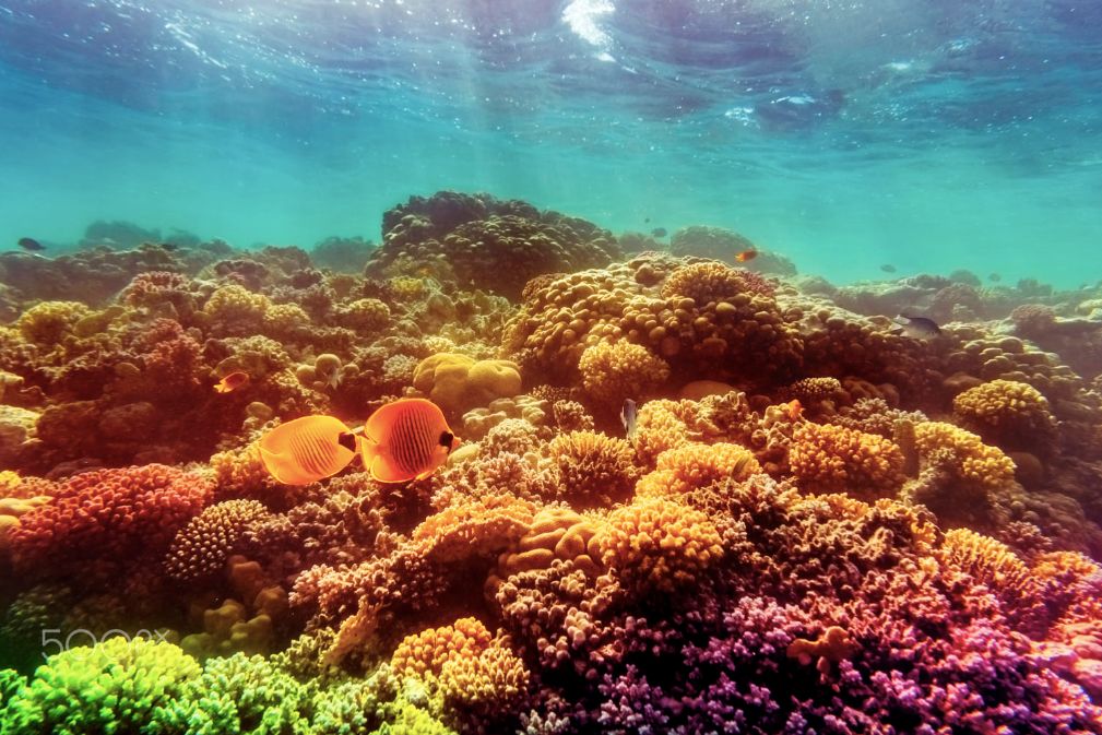 秒杀马代的绝美海岛,海南媲美马代的海岛