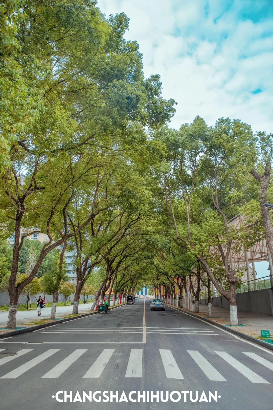 闀挎矙姘戞斂瀛︽牎瀹樼綉,闀挎矙姘戞斂瀛﹂櫌鐢熸椿