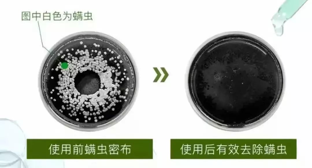 团|你的头发一根都不许掉!用它,还能3天不洗头依然干爽不油腻