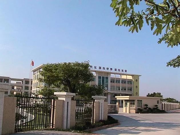 东莞学校被通报,盘点东莞最牛学校