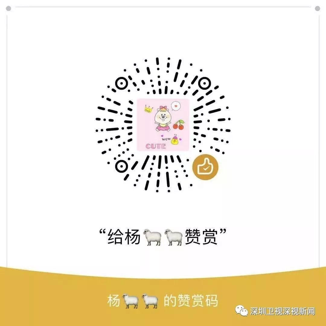 穗莞深城际铁路开通时间,穗莞深城际铁路深圳机场北站