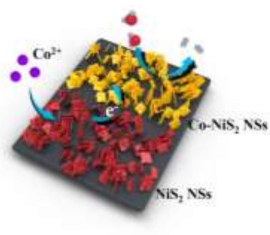 厦大NatureCat.，天大NatureCat.,催化前沿每周精选丨1014-1020