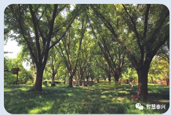 泰兴50个项目,泰兴2024重大工业项目一览表