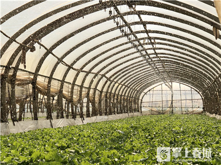 昆明三甲整形医院,投资6亿新建三级医院