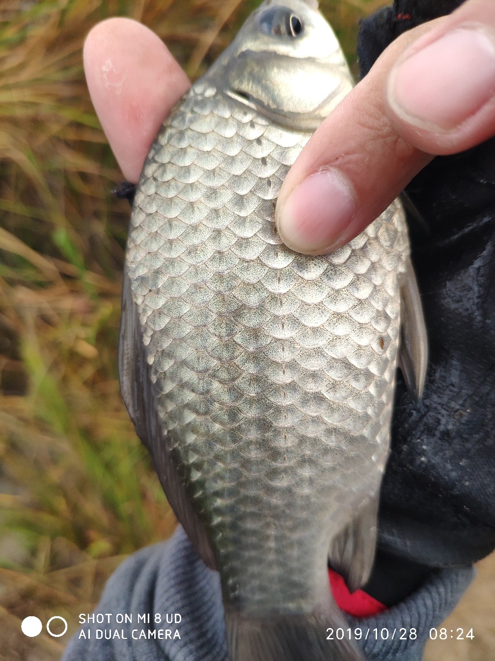 和钓友吃吃喝喝好不好,野钓与钓友
