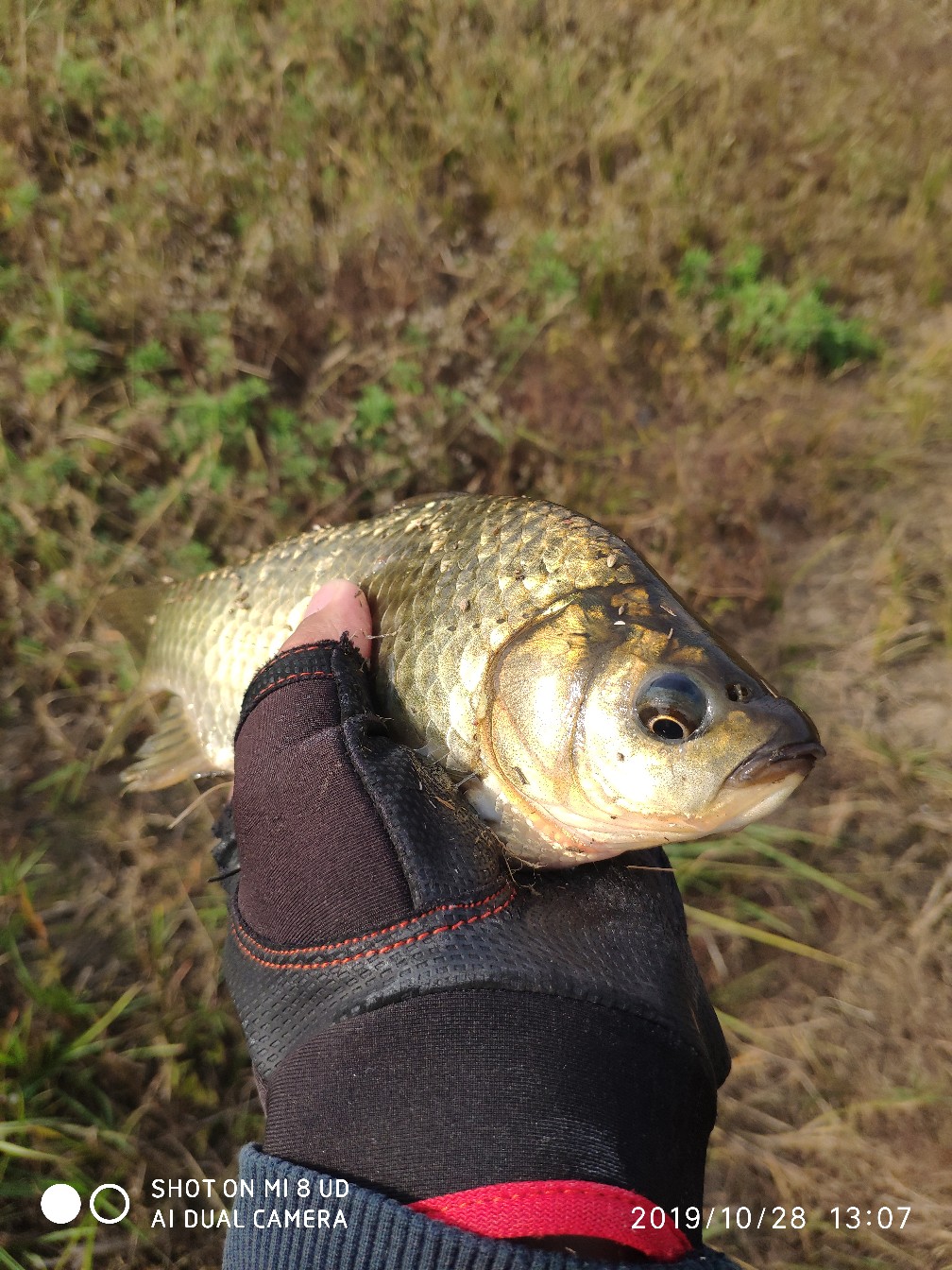 和钓友吃吃喝喝好不好,野钓与钓友