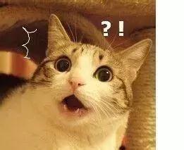 独家整合|这些被捧上天的“神药”你用过吗?是时候知道真相了