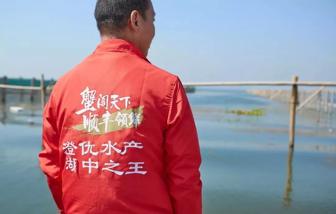 阳澄湖大闸蟹几月份最好吃最美味,吃阳澄湖大闸蟹的快乐季节