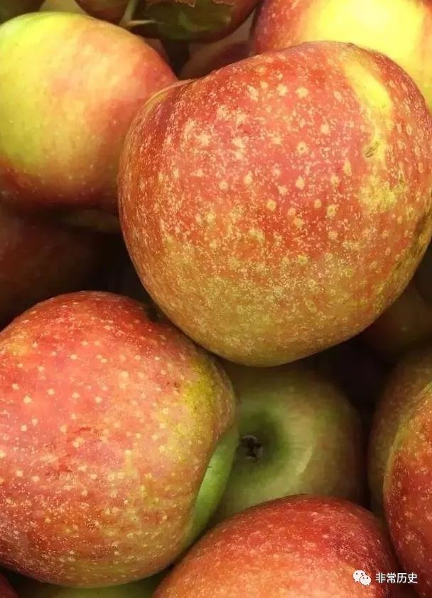 万圣节不给糖就捣蛋英文版,万圣节不给糖就捣蛋视频