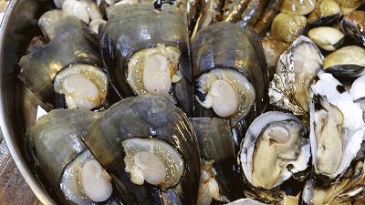 嚟度，可能系顺德桑拿种类最多嘅地方！鸵鸟都唔放过！真够呛