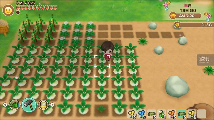 万圣节十大必玩游戏,万圣节玩的活动游戏